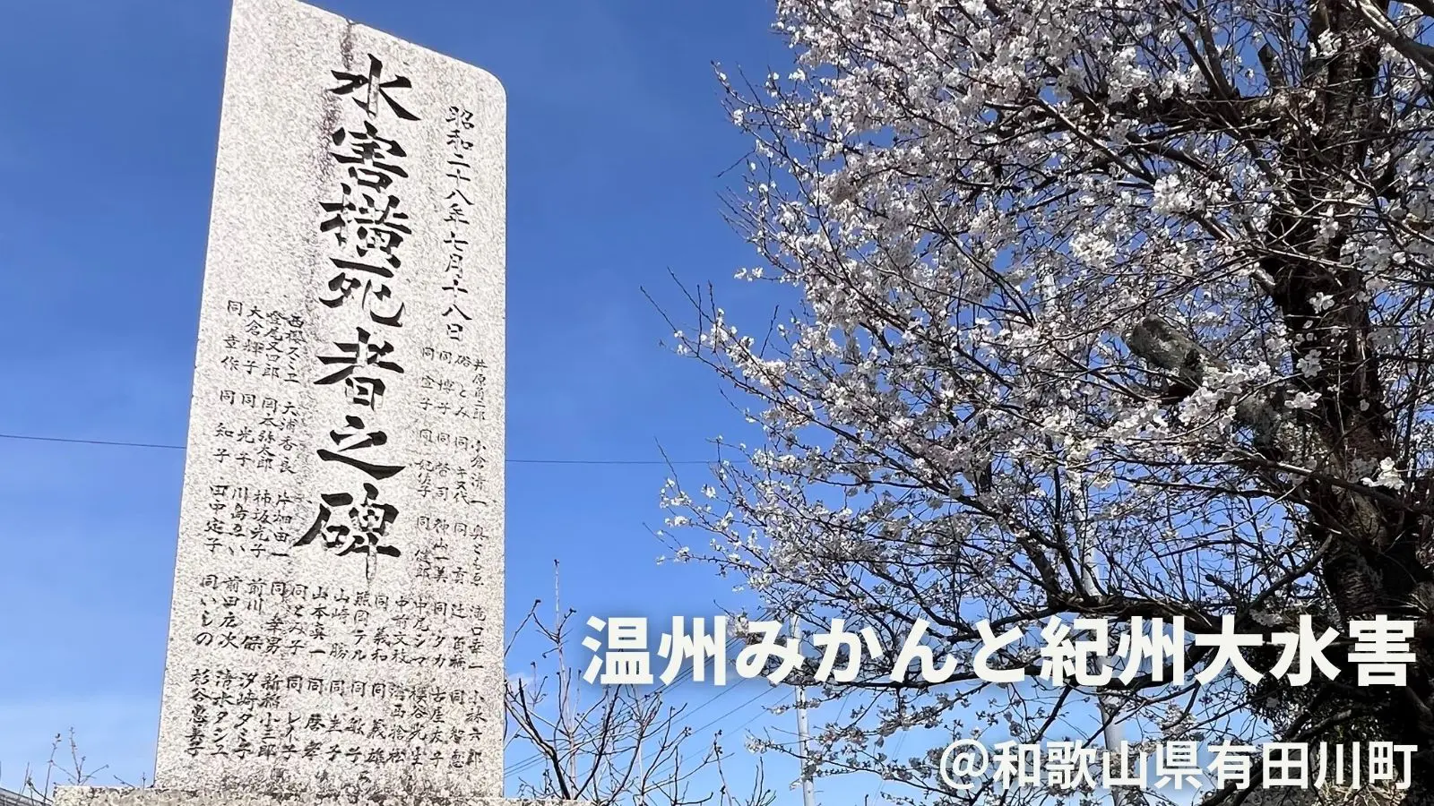 1954年6月5日　㈱有田タイムス社　和歌山県　紀州大水害　『七・一八水害誌』 202504033.jpg.webp