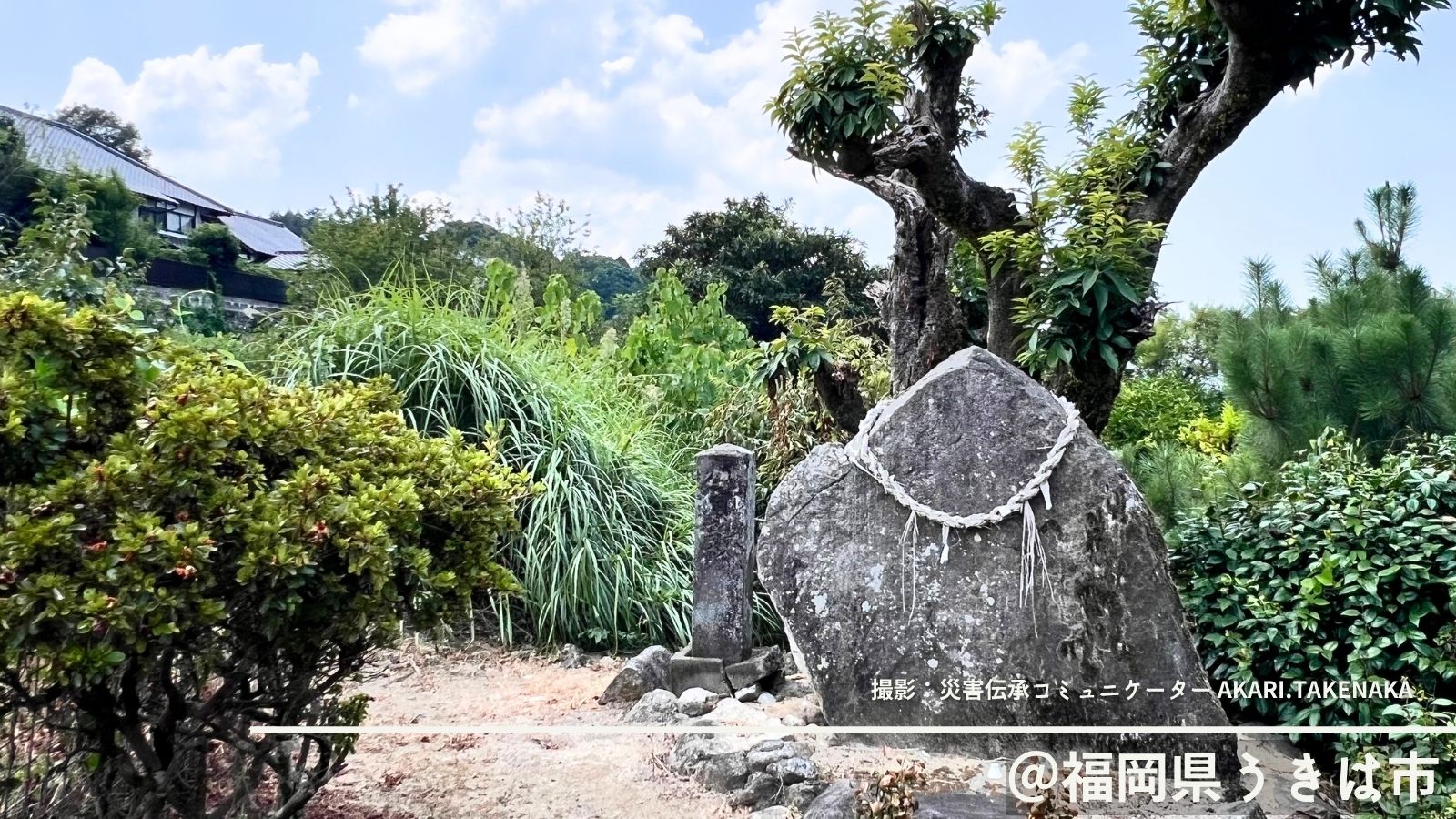 福岡県うきは市吉井町富永にある自然災害伝承碑「儲穀の碑」。しめ縄が掛けられた大きな自然石と、その左側に細長い石碑が立っている。周囲には木々や草が茂り、民家も見える。