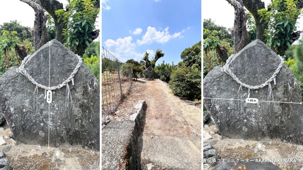 自然災害伝承碑「儲穀の碑」の大きさと周辺の様子をまとめた3枚の写真。左は高さ約1.45メートル、右は幅約1.45メートルと表示された、しめ縄の掛かる自然石。中央は、石碑へ続く細い通路と周囲の木々を写している。